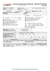tr�chtige Fleckvieh Kalbin zu verkaufen, beweidet und ruhig